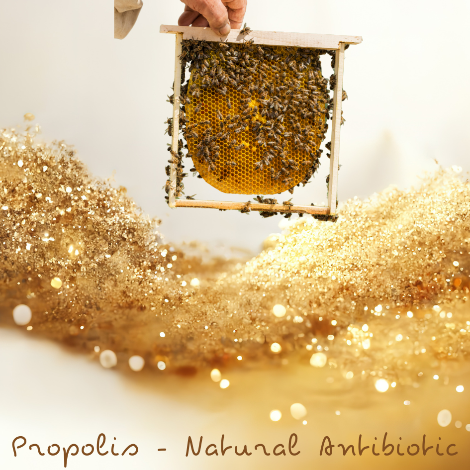 natural_antibiotic_shine.png